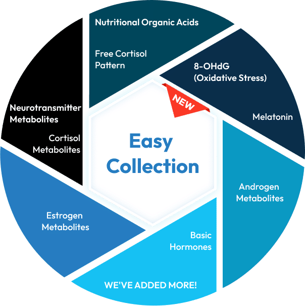 Chart showing components of the DUTCH Easy Collection test including nutritional organic acids, free cortisol pattern, oxidative stress (8-OHdG), melatonin, androgen metabolites, basic hormones, estrogen metabolites, cortisol metabolites, and neurotransmitter metabolites.