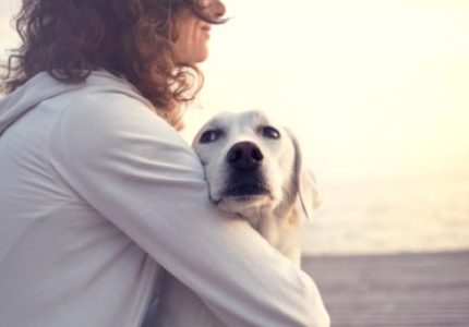 A person with curly hair is seated, embracing a white dog while gazing at a calm horizon over water, suggesting a moment of connection.
