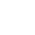 IV icon
