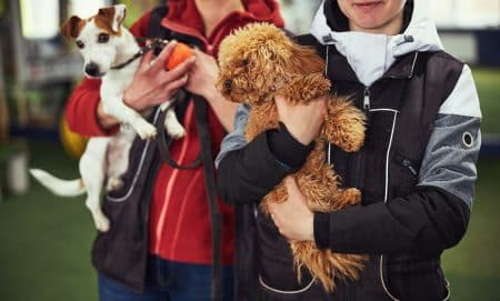 Two dog handlers posing for the camera with cute puppies